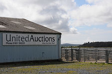 Islay Auction Mart