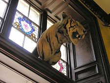 Tiger in the Front Hall