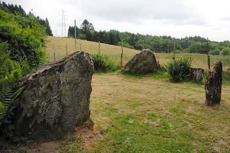 The Stone Circle from the North