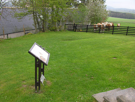 The Earth House is Under the Grassy Area Shown, with the Entrance Just Visible Near the Cows