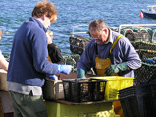 Fishermen Sorting the Catch, Mull
